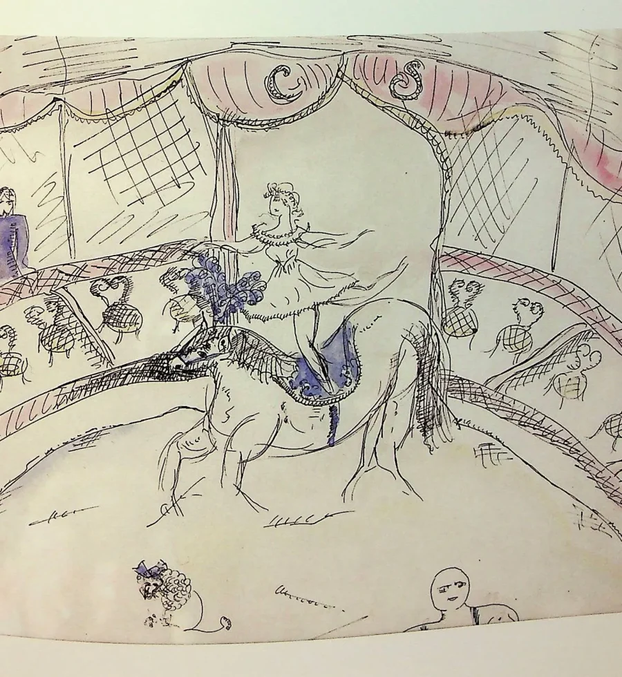 opera_margaretei_sterian (3)